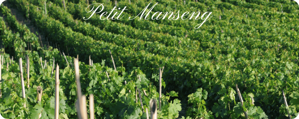 Petit Manseng vino bianco in vendita - Enoteca71