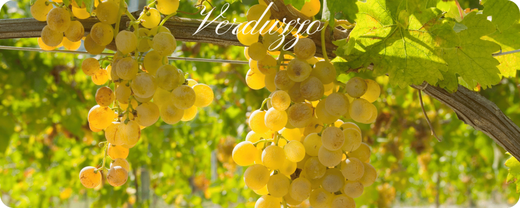 Verduzzo vino bianco Friulano - Enoteca71