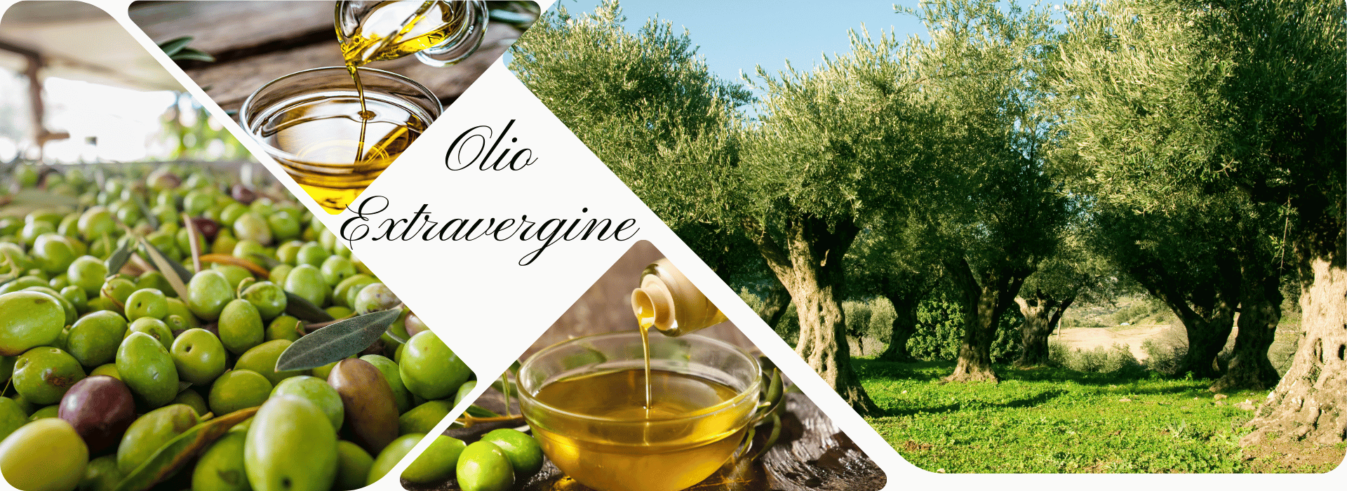 Olio Extravergine